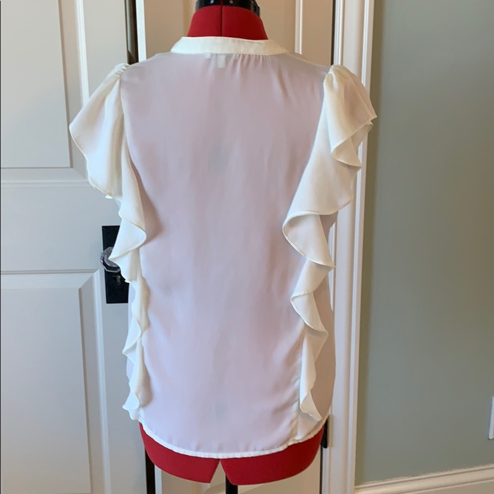 Sheer Top - Picture 3 of 6